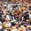 Perchè diciamo sì al biologico, ai cereali antichi e un netto NO agli OGM…