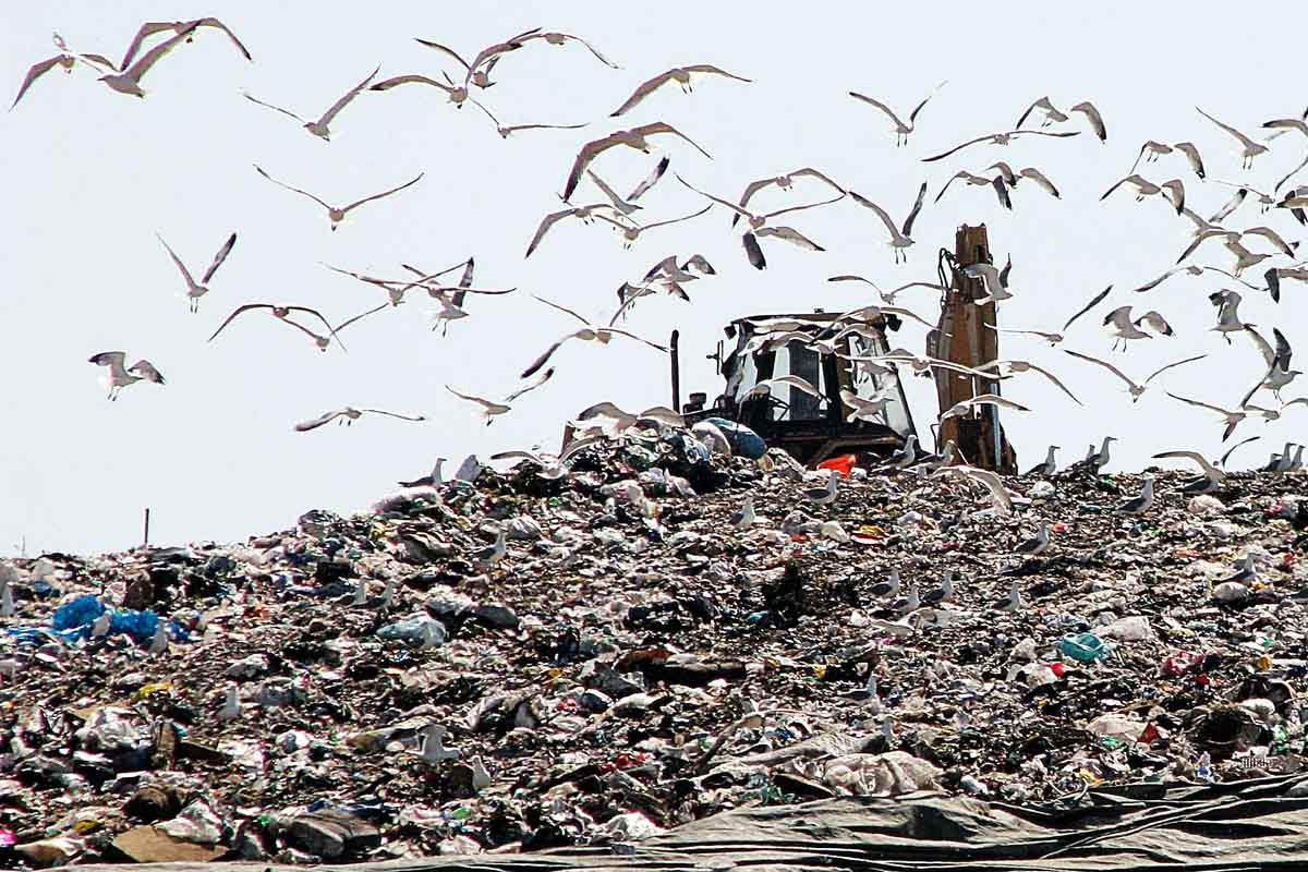 Discarica Di Sant Urbano Una Variante Tutt altro Che migliorativa 